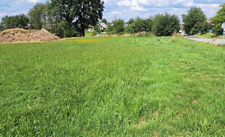 działka na sprzedaż - Polanka Wielka, Pasternik