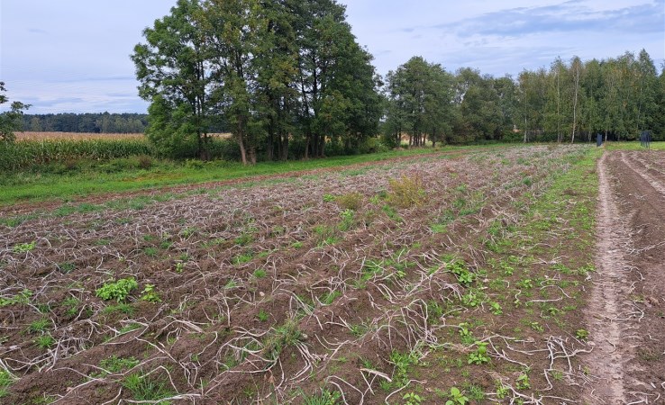 działka na sprzedaż - Oświęcim (gw), Poręba Wielka