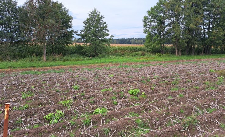 działka na sprzedaż - Oświęcim (gw), Poręba Wielka