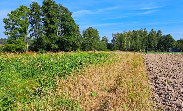 działka na sprzedaż - Oświęcim (gw), Poręba Wielka