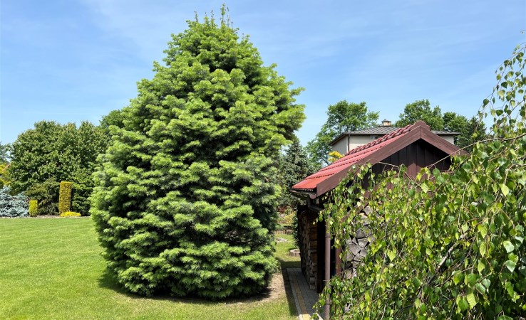 dom na sprzedaż - Oświęcim, Wysokie Brzegi