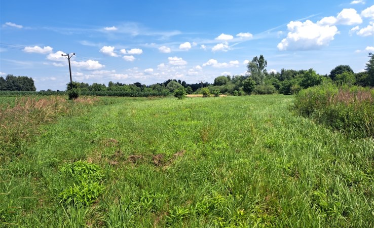 działka na sprzedaż - Brzeszcze