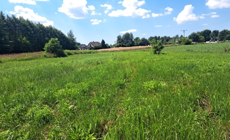 działka na sprzedaż - Brzeszcze