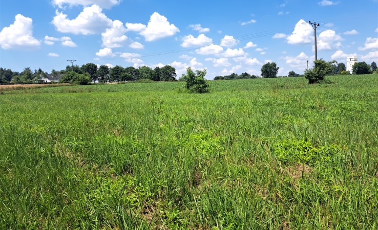 działka na sprzedaż - Brzeszcze