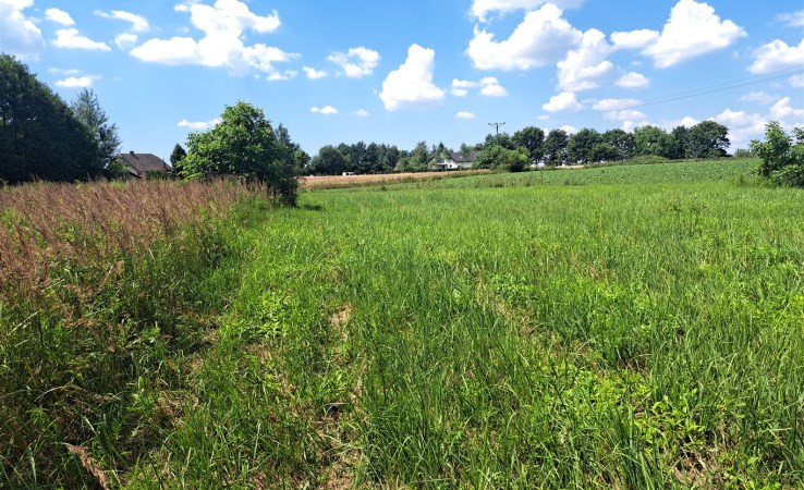 działka na sprzedaż - Brzeszcze