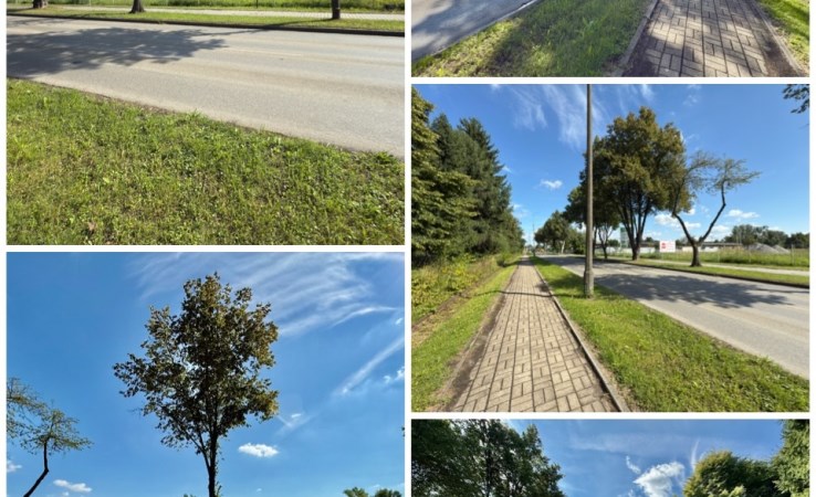 działka na sprzedaż - Oświęcim, Zasole, Leszczyńskiej