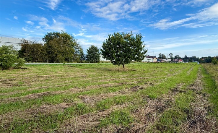 działka na sprzedaż - Oświęcim, Centrum