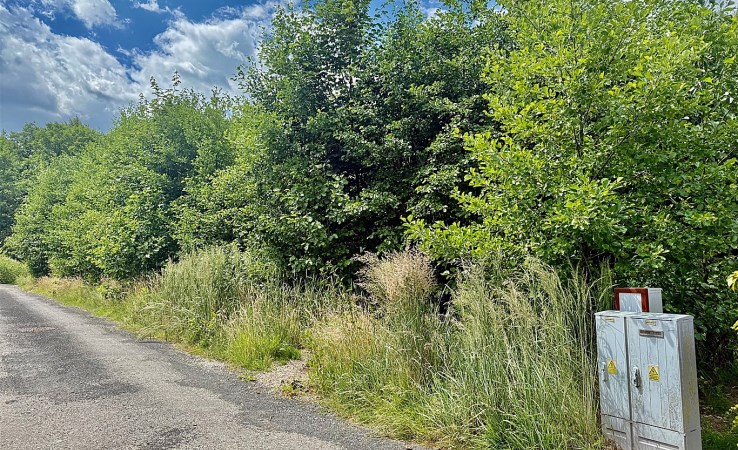 działka na sprzedaż - Oświęcim (gw), Zaborze