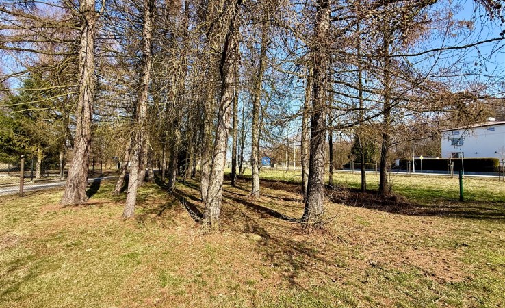 dom na sprzedaż - Oświęcim