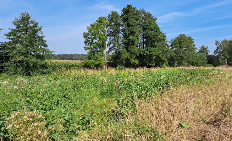 działka na sprzedaż - Oświęcim (gw), Poręba Wielka