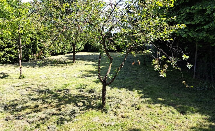 dom na sprzedaż - Oświęcim